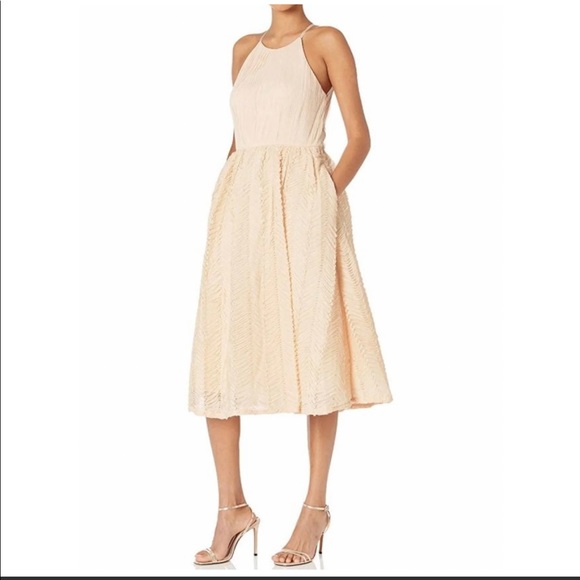 NWT ADRIANNA PAPELL SLEEVELESS SHIRRED TULLE MIDI DRESS - Picture 1 of 16